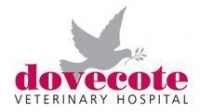 Registered veterinary nurse - wards