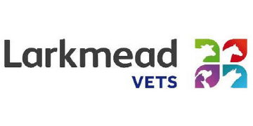 Small animal vet - south oxfordshire - tier 2 training practice