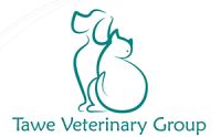 Lead veterinary surgeon