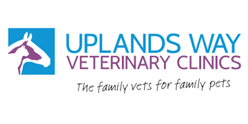 Senior veterinary surgeon