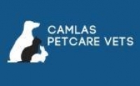 Vet surgeon - welshpool