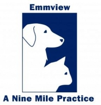 Small animal veterinary surgeon - maternity cover