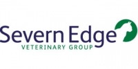 Part-time registered veterinary nurse