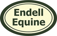 Equine vet internship