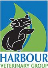 Weekend registered veterinary nurse