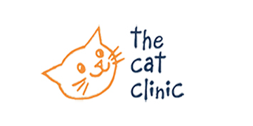 Experienced veterinarian