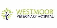 Registered veterinary nurse