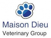 New graduate vet
