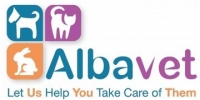 Veterinary surgeon