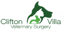 Veterinary surgeon