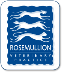 Veterinary ophthalmologist