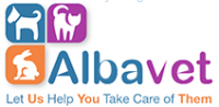 Senior small animal veterinary surgeon
