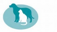 Head veterinary surgeon