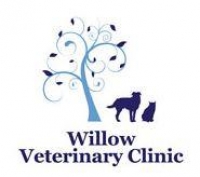 Registered veterinary nurse