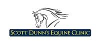 Full or part time equine veterinary surgeon