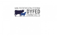 Experienced farm vet