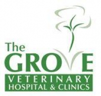 Small animal vet