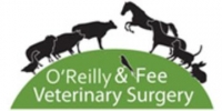 Small animal vet