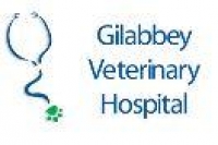 Registered veterinary nurse
