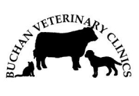 Veterinary surgeon