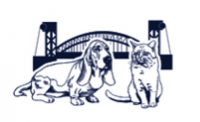 Veterinary surgeon