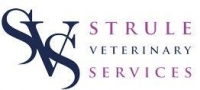 Small animal vet