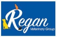 Small animal vet