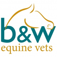 Diagnostic imaging technician
