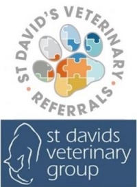 Registered veterinary nurse
