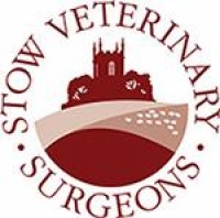Veterinary surgeon