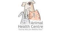 Veterinary surgeon