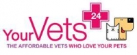 Consult only vet