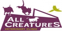 Small animal vet