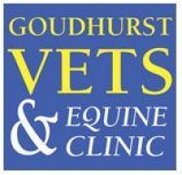 Small animal veterinary surgeon (part time)