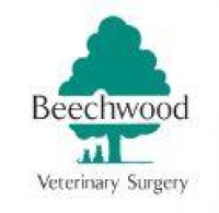 Small animal veterinary surgeon (fixed term contract)