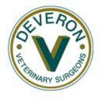 Head vet