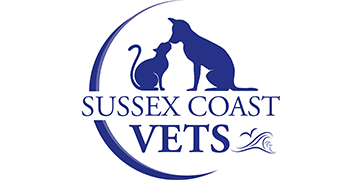 Small animal veterinary surgeon