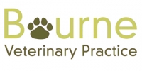 Veterinary surgeon