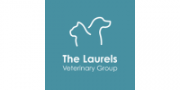 Veterinary surgeon
