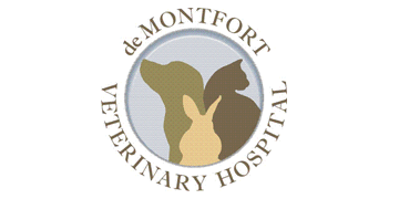 Small animal vet
