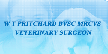Mixed vet