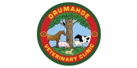 Experienced small animal vet surgeon