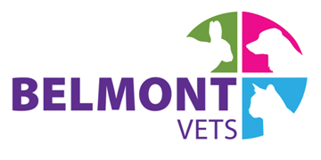 Full time veterinary surgeon