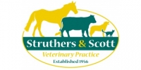 Experienced veterinary surgeon
