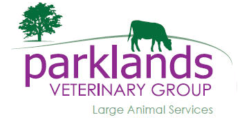 Equine vet required - county tyrone, northern ireland