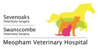 Small animal clinicians required for independent practice