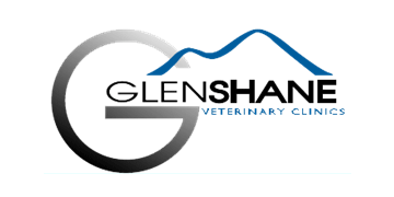 Mixed veterinary surgeon