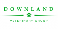Veterinary surgeon
