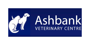 Veterinary surgeon