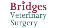 Small animal veterinary surgeon